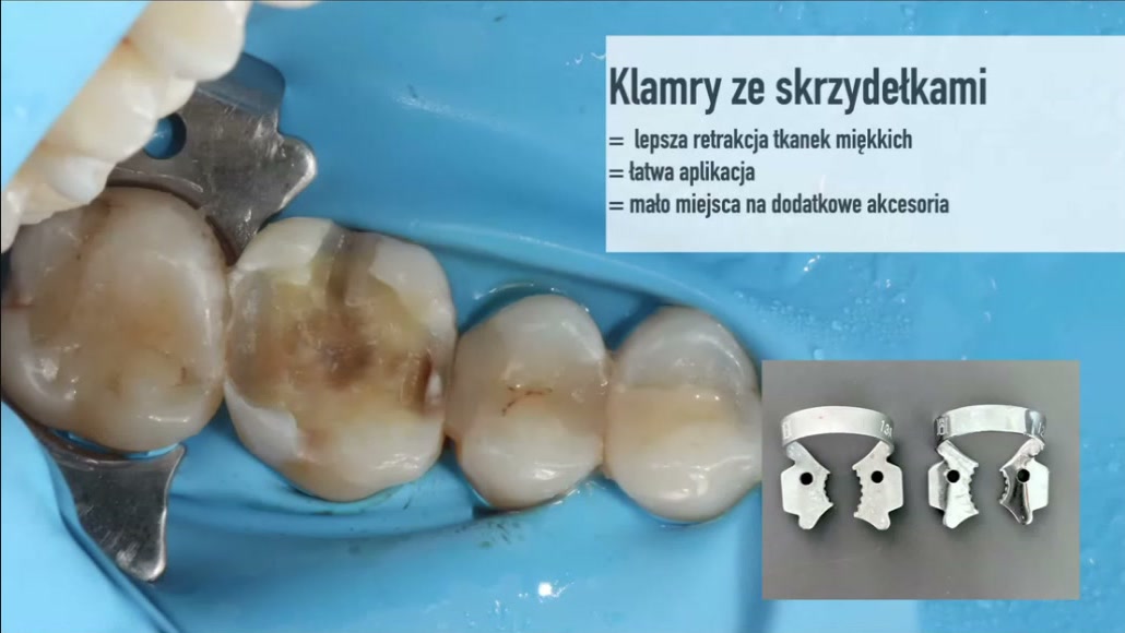 Kadr z nagrania webinaru