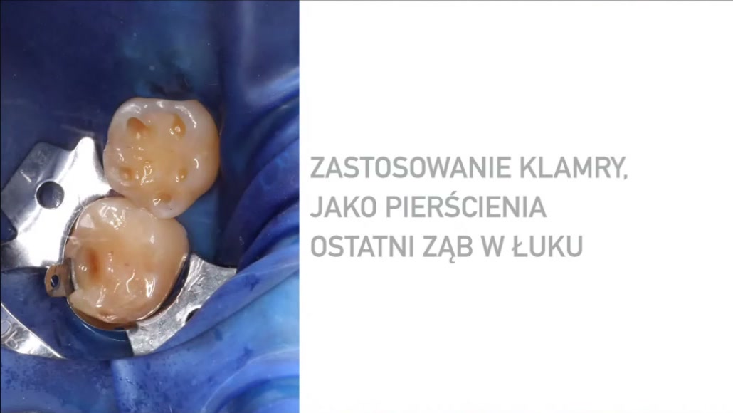 Kadr z nagrania webinaru