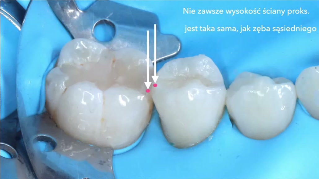 Kadr z nagrania webinaru